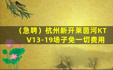 巴中夜总会招聘